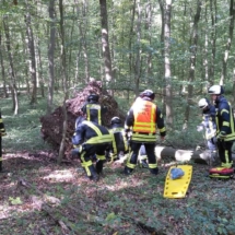 IMG-20190921-WA0019 IMG-20190921-WA0019