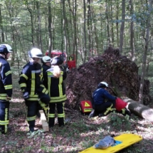 IMG-20190921-WA0022 IMG-20190921-WA0022