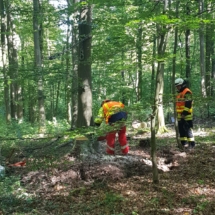 IMG-20190921-WA0026 IMG-20190921-WA0026