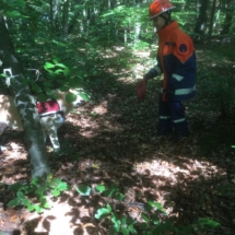 IMG-20190922-WA0014 IMG-20190922-WA0014