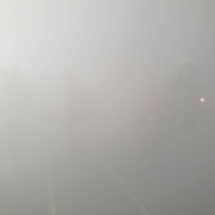 Einsatzübung 2019 Einsatzübung 2019