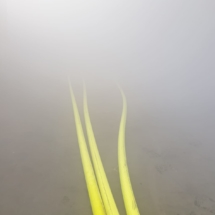 Einsatzübung 2019 Einsatzübung 2019