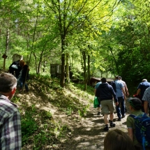 K1024_DSC02699 K1024_DSC02699